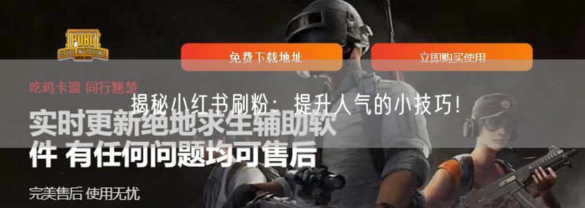 揭秘小红书刷粉：提升人气的小技巧！