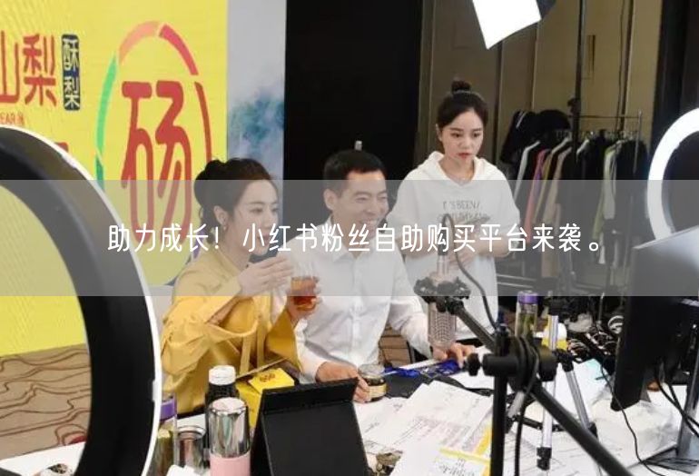 助力成长！小红书粉丝自助购买平台来袭。