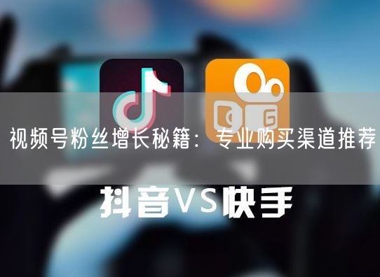 视频号粉丝增长秘籍：专业购买渠道推荐