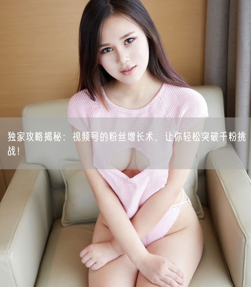 独家攻略揭秘：视频号的粉丝增长术，让你轻松突破千粉挑战！