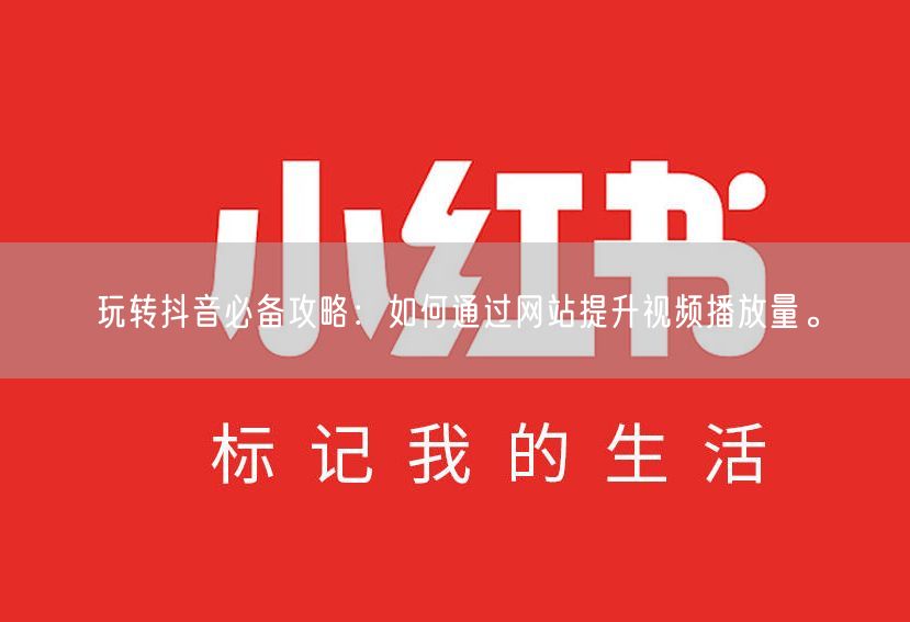 玩转抖音必备攻略：如何通过网站提升视频播放量。