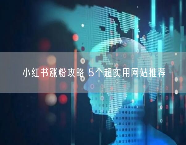 小红书涨粉攻略 5个超实用网站推荐